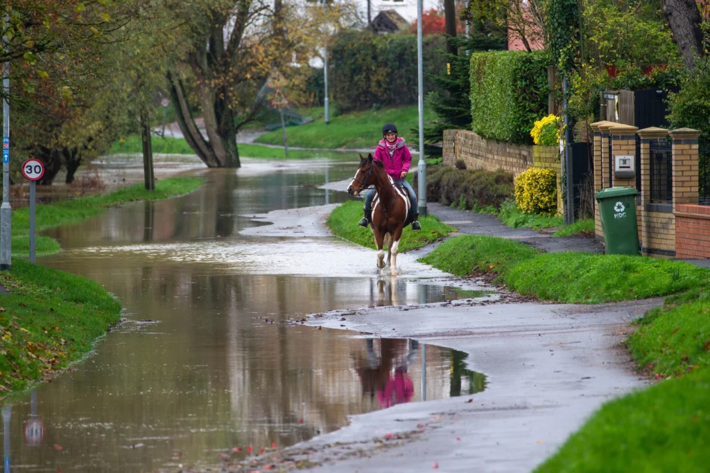 News for Peterborough - 