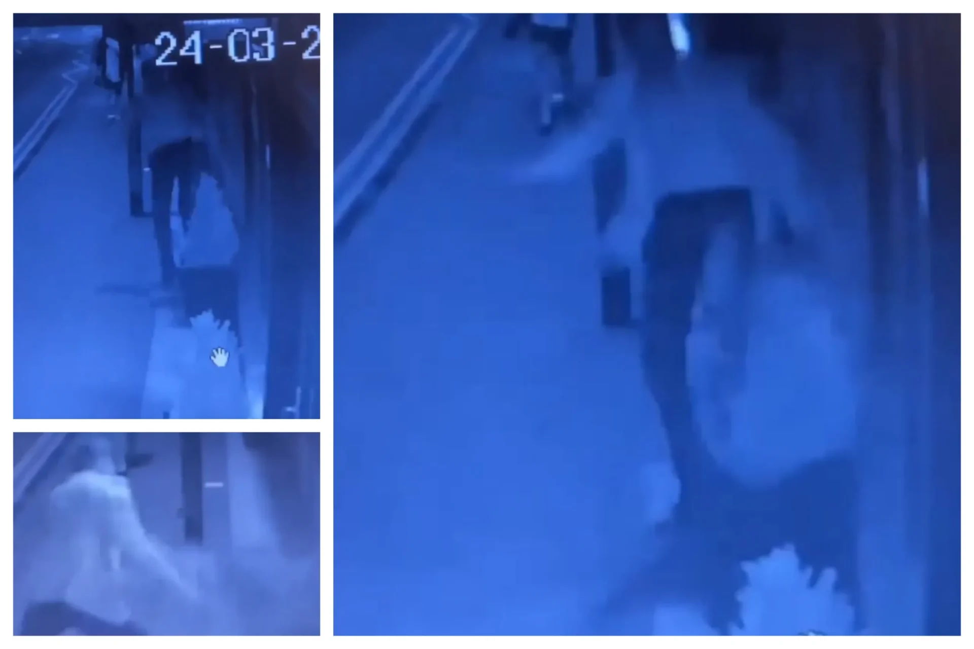 News for Peterborough - “To the gentleman who decided to let his frustration out on our plant outside the restaurant on Friday night completely destroying it leaving soil everywhere,” their post began.
