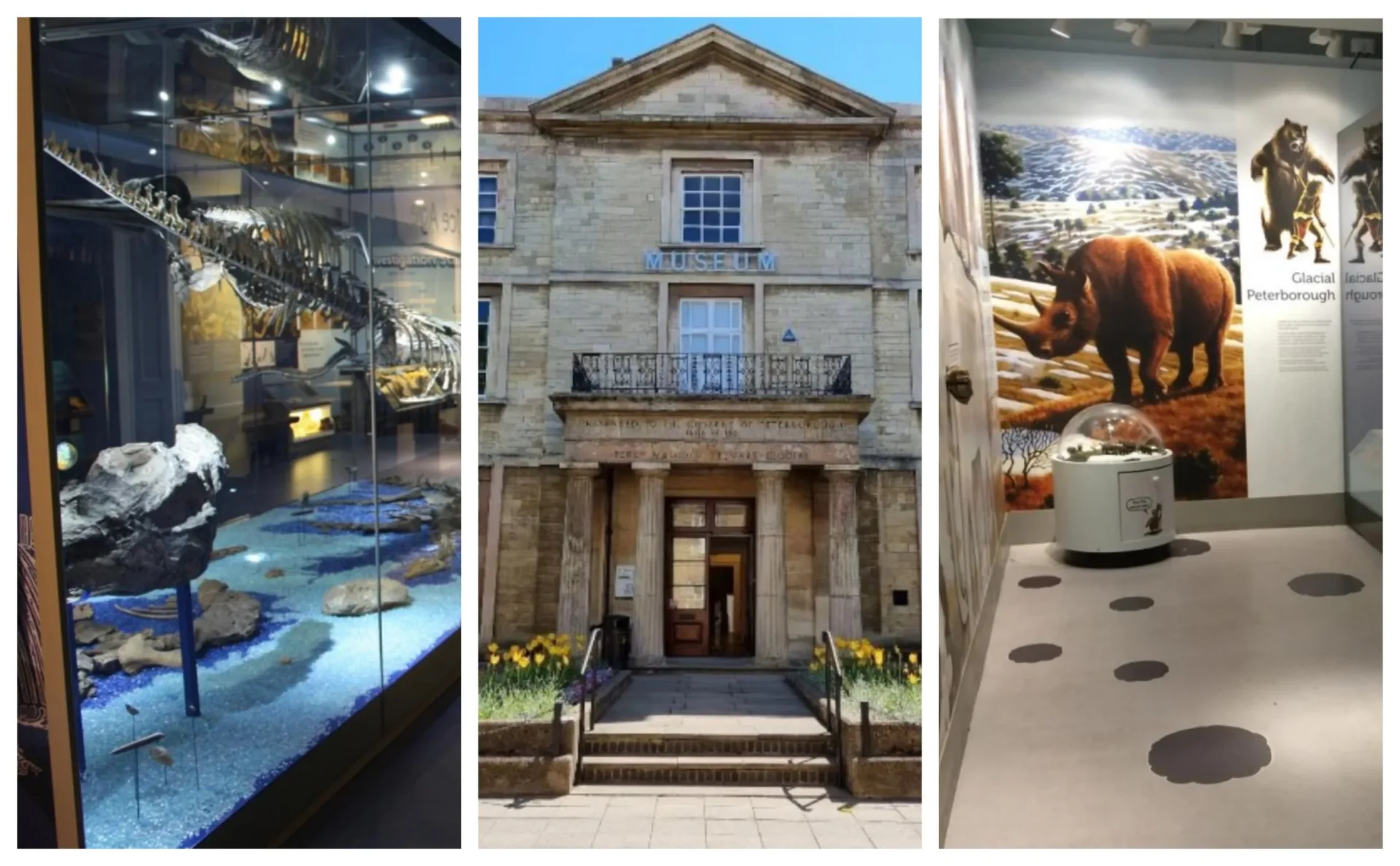 News for Peterborough - Peterborough Museum Society Committee has written an open letter expressing concerns over the future of the museum and other leisure outlets in the city