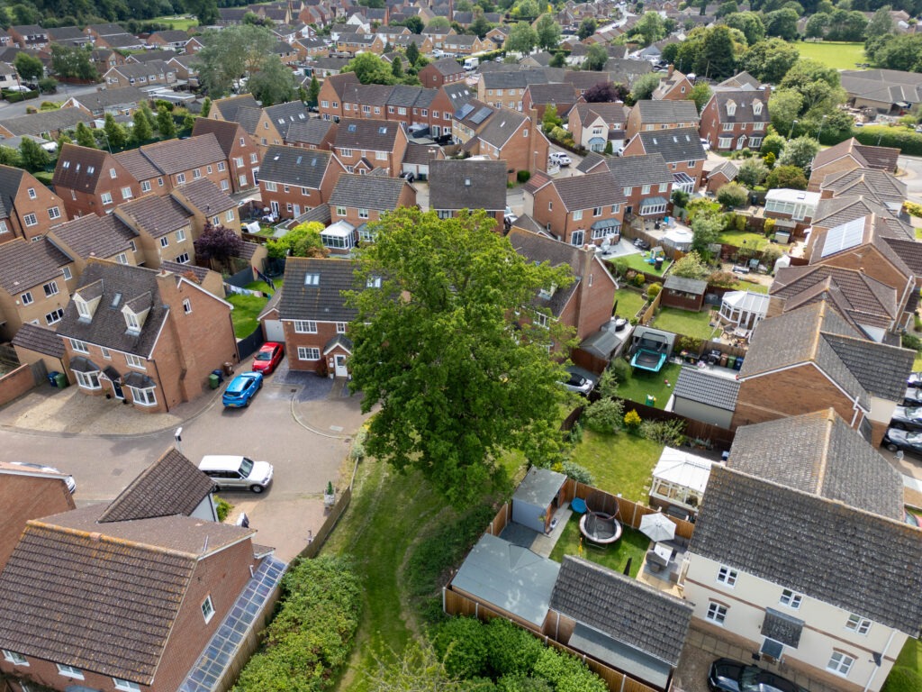 A old oak tree is threatened with destruction following a single complaint. - News for Peterborough Residents and even the town council want Fenland District Council to refuse its own application to fell a 50- to 60-year-old protected oak tree off Bridle Close, Chatteris. PHOTO: Terry Harris
