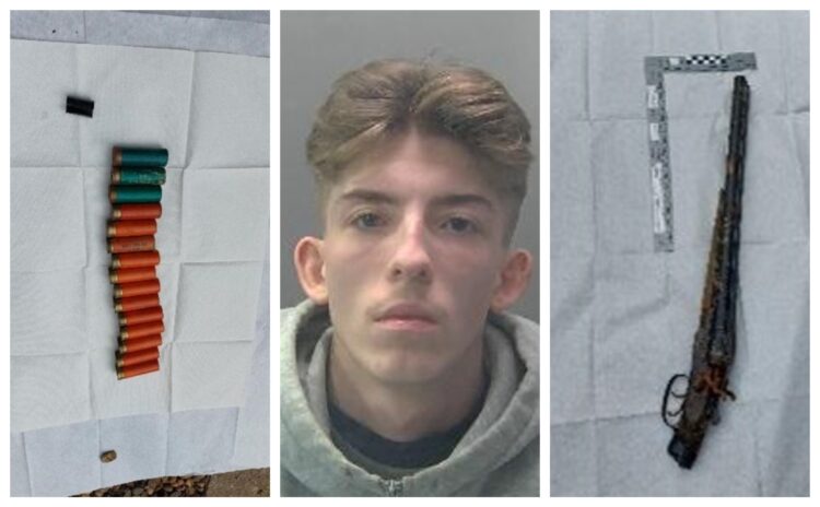 While searching the Cambridge home of Connor Sweeney, police found a shotgun and 15 shells in the garden shed as well as cocaine, cannabis, nitrous oxide cannisters, mobile phones, cash and a wooden truncheon